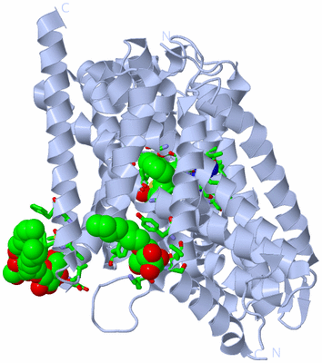 Image Biol. Unit 1 - sites