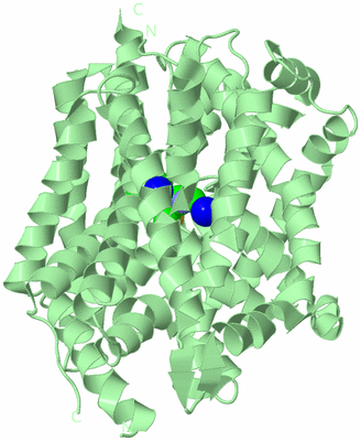 Image Biological Unit 2