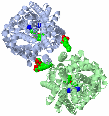 Image Biological Unit 3