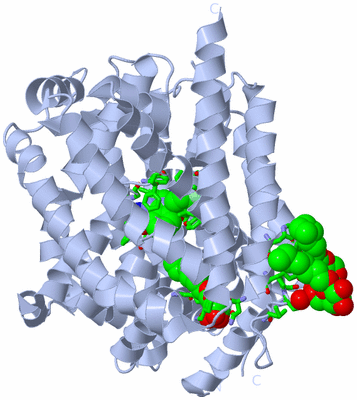 Image Biol. Unit 1 - sites