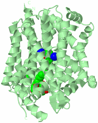 Image Biological Unit 2