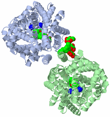 Image Biological Unit 3