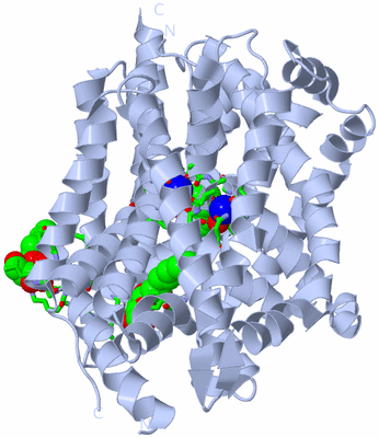 Image Biol. Unit 1 - sites