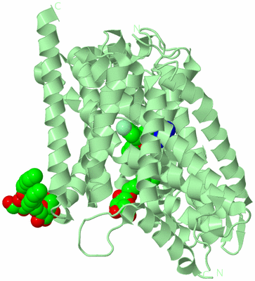 Image Biological Unit 2