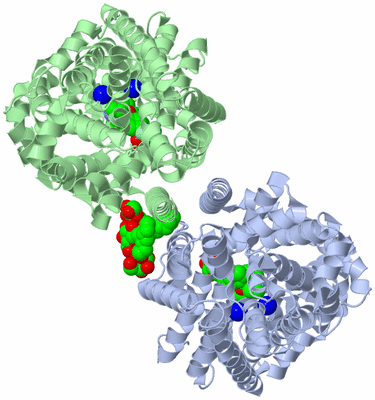 Image Biological Unit 3