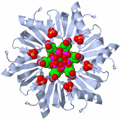 Image Biological Unit 1