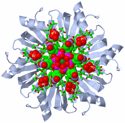 Image Biol. Unit 1 - sites