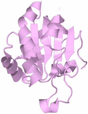 Image Biological Unit 3