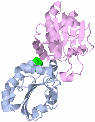 Image Biological Unit 5