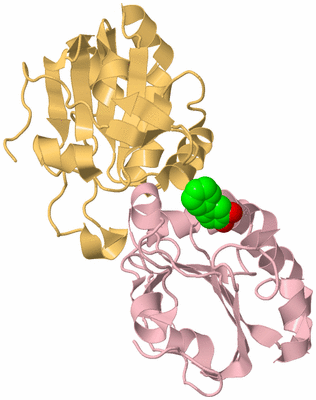 Image Biological Unit 6