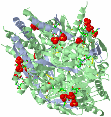 Image Biol. Unit 1 - sites