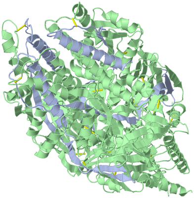 Image Biological Unit 1