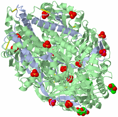 Image Biological Unit 1