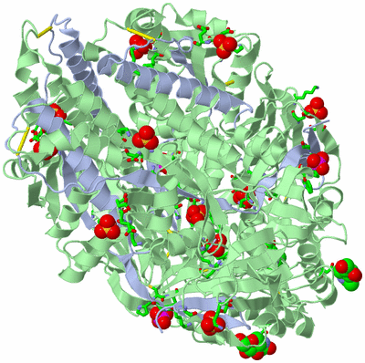 Image Biol. Unit 1 - sites