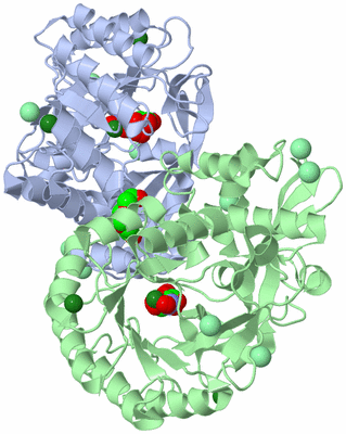 Image Biological Unit 1