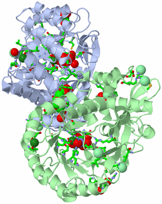 Image Biol. Unit 1 - sites