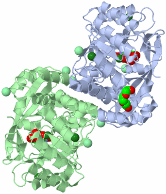 Image Biological Unit 2