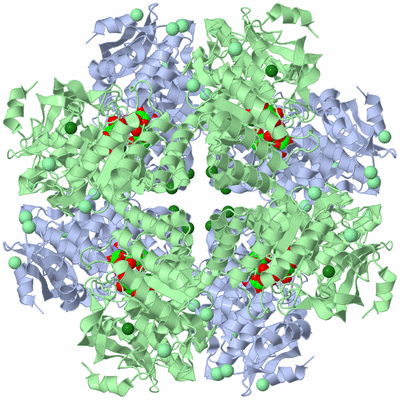 Image Biological Unit 3