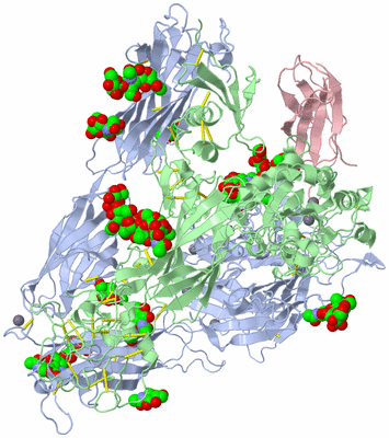 Image Asym./Biol. Unit