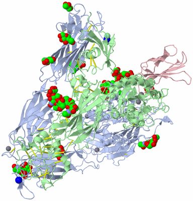 Image Asym./Biol. Unit