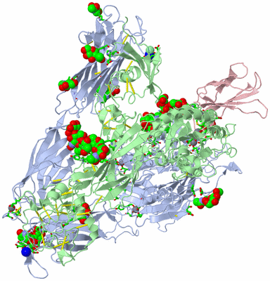 Image Asym./Biol. Unit - sites