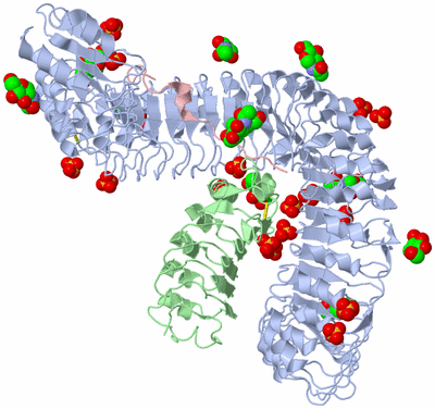 Image Asym./Biol. Unit