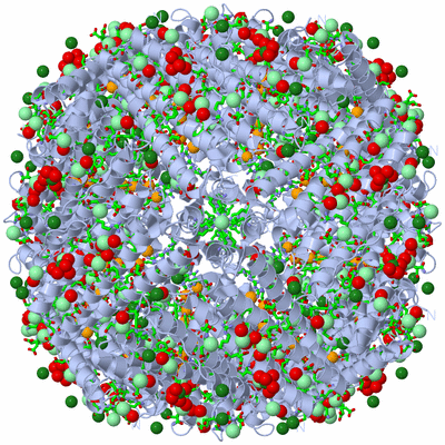 Image Biol. Unit 1 - sites