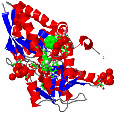 Image Asym./Biol. Unit - sites