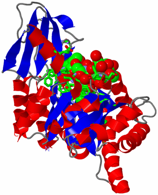 Image Asym./Biol. Unit - sites