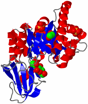 Image Asym./Biol. Unit