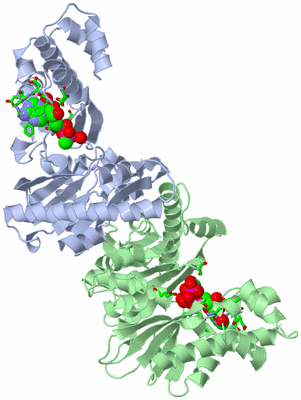 Image Biol. Unit 1 - sites