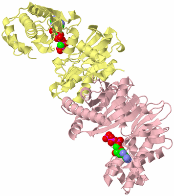 Image Biological Unit 2