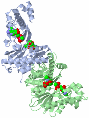 Image Biological Unit 1