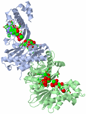 Image Biol. Unit 1 - sites