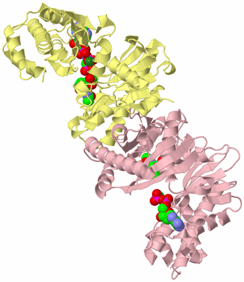 Image Biological Unit 2