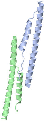 Image Asymmetric Unit