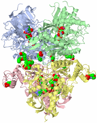 Image Asym./Biol. Unit