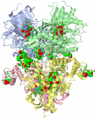 Image Asym./Biol. Unit - sites