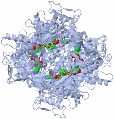 Image Biological Unit 1