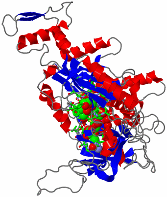 Image Asym. Unit - sites