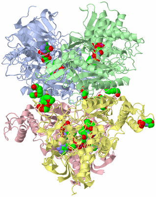 Image Asym./Biol. Unit