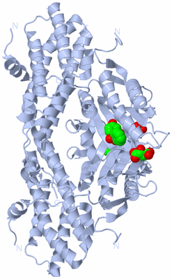 Image Biological Unit 1