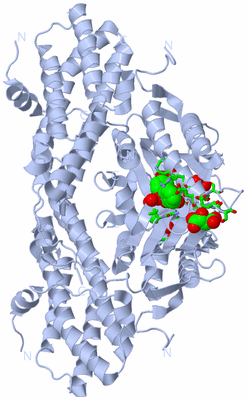 Image Biol. Unit 1 - sites