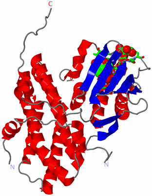 Image Asym. Unit - sites