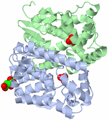 Image Asym./Biol. Unit