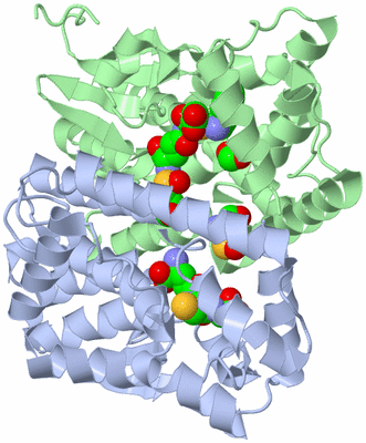 Image Asym./Biol. Unit