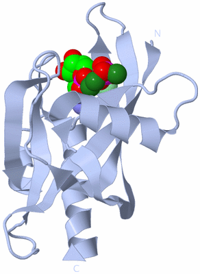 Image Biological Unit 1