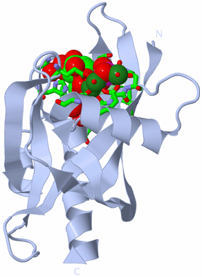 Image Biol. Unit 1 - sites