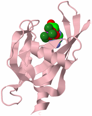 Image Biological Unit 3