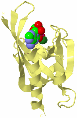 Image Biological Unit 4